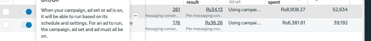 Ad Campaign Conversion Overview proof screenshot for Ad Campaigns analytics and SEO reporting