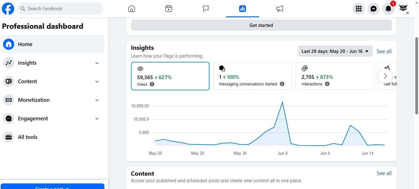 Shaheen Skies Facebook Page Insights proof screenshot for Facebook analytics and SEO reporting