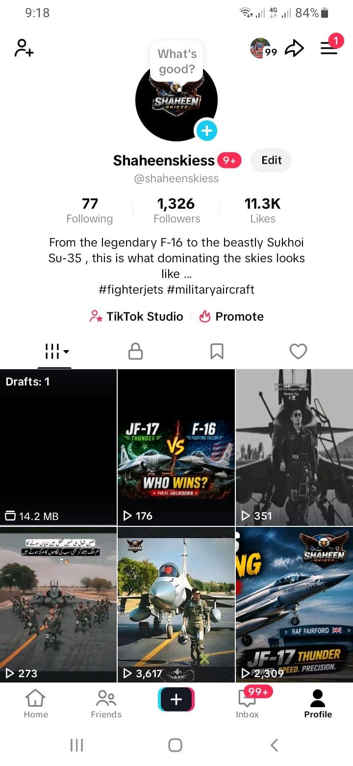 Shaheen Skies TikTok Profile proof screenshot for TikTok analytics and SEO reporting